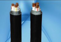 CADIVI CVV/DATA − 0,6/1 KV & CVV/DSTA − 0,6/1 KV CÁP ĐIỆN LỰC, RUỘT ĐỒNG, CÁCH ĐIỆN PVC, GIÁP BĂNG KIM LOẠI, VỎ PVC