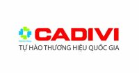 CADIVI DVV/SWA – 0,6/1 kV CÁP ĐIỀU KHIỂN RUỘT ĐỒNG, CÁCH ĐIỆN PVC, KHÔNG MÀN CHẮN CHỐNG NHIỄU, GIÁP SỢI THÉP, VỎ PVC