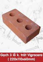 Gạch 3 Lỗ Không Trát Viglacera